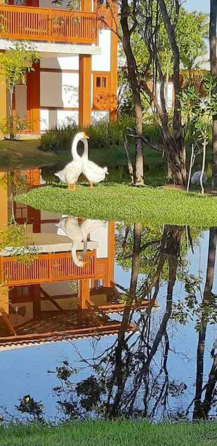 "Simplesmente Um Paraiso" Прая-ду-Форті Екстер'єр фото